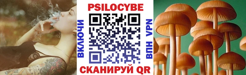 Псилоцибиновые грибы мицелий где найти Аркадак